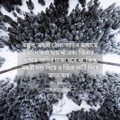 Picture 05 - যিচয়া 28:27 BENIRV - বস্তুত, মহুরী ঠেলা - Bible Verse Picture