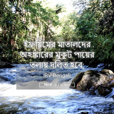 Picture 05 - যিচয়া 28:3 BENIRV - ইফ্রয়িমের - Bible Verse Picture