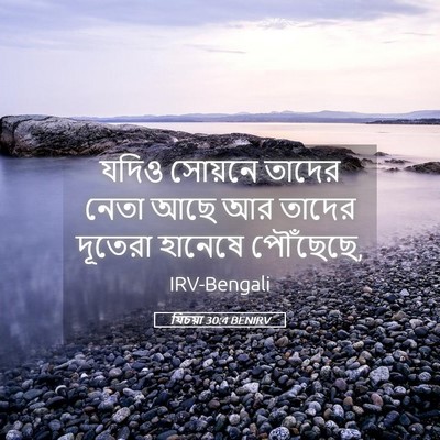 Picture 05 - যিচয়া 30:4 BENIRV - যদিও সোয়নে তাদের - Bible Verse Picture