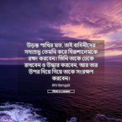 Picture 05 - যিচয়া 31:5 BENIRV - উড়ন্ত পাখির মত, - Bible Verse Picture
