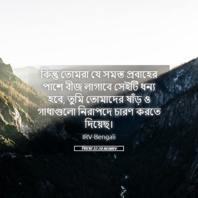 Picture 05 - যিচয়া 32:20 BENIRV - কিন্তু তোমরা যে - Bible Verse Picture