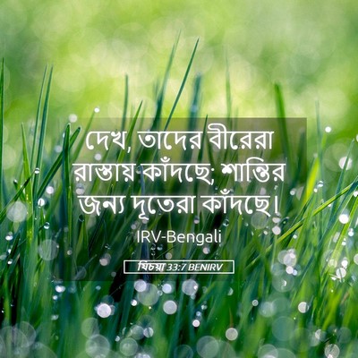 Picture 05 - যিচয়া 33:7 BENIRV - দেখ, তাদের বীরেরা - Bible Verse Picture