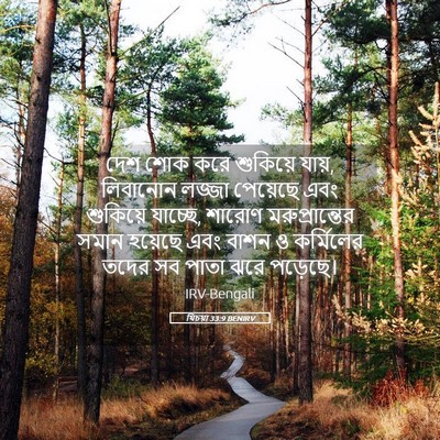 Picture 05 - যিচয়া 33:9 BENIRV - দেশ শোক করে - Bible Verse Picture