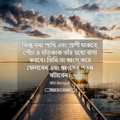 Picture 05 - যিচয়া 34:11 BENIRV - কিন্তু বন্য পাখি - Bible Verse Picture