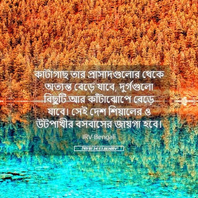 Picture 05 - যিচয়া 34:13 BENIRV - কাটাগাছ তার - Bible Verse Picture