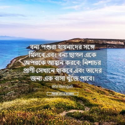 Picture 05 - যিচয়া 34:14 BENIRV - বন্য পশুরা - Bible Verse Picture