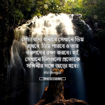 Picture 05 - যিচয়া 34:15 BENIRV - পেঁচা বাসা বানাবে - Bible Verse Picture