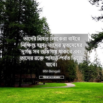 Picture 05 - যিচয়া 34:3 BENIRV - তাদের নিহত লোকেরা - Bible Verse Picture