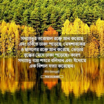 Picture 05 - যিচয়া 34:6 BENIRV - সদাপ্রভুর তরোয়াল - Bible Verse Picture
