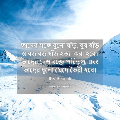 Picture 05 - যিচয়া 34:7 BENIRV - তাদের সঙ্গে বুনো - Bible Verse Picture