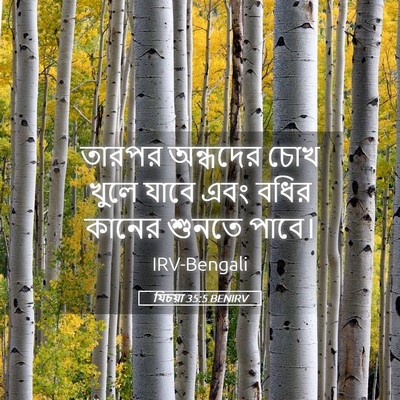 Picture 05 - যিচয়া 35:5 BENIRV - তারপর অন্ধদের চোখ - Bible Verse Picture