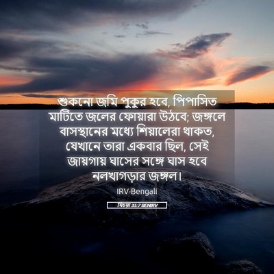 Picture 05 - যিচয়া 35:7 BENIRV - শুকনো জমি পুকুর - Bible Verse Picture