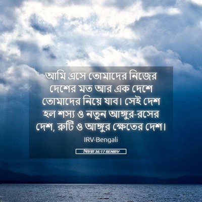 Picture 05 - যিচয়া 36:17 BENIRV - আমি এসে তোমাদের - Bible Verse Picture