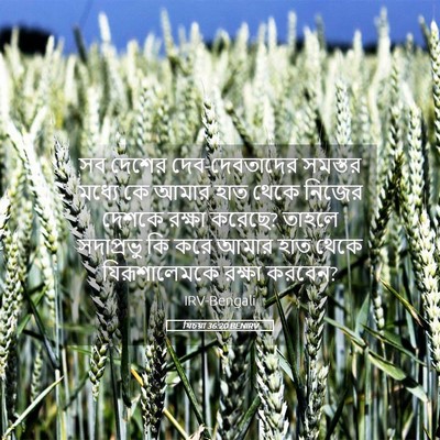 Picture 05 - যিচয়া 36:20 BENIRV - সব দেশের - Bible Verse Picture