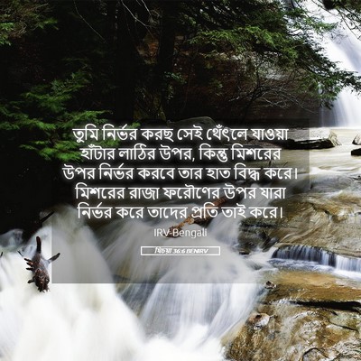 Picture 05 - যিচয়া 36:6 BENIRV - তুমি নির্ভর করছ - Bible Verse Picture