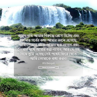 Picture 05 - যিচয়া 37:29 BENIRV - কারণ তুমি আমার - Bible Verse Picture