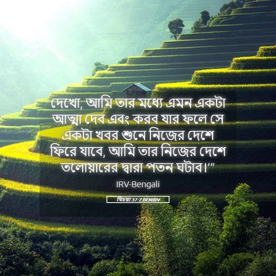 Picture 05 - যিচয়া 37:7 BENIRV - দেখো, আমি তার মধ্যে - Bible Verse Picture