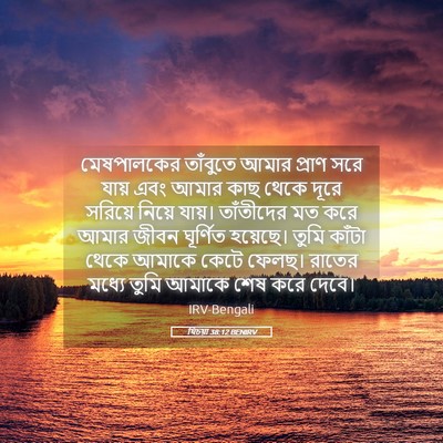 Picture 05 - যিচয়া 38:12 BENIRV - মেষপালকের তাঁবুতে - Bible Verse Picture