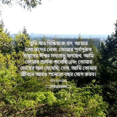 Picture 05 - যিচয়া 38:5 BENIRV - তুমি যাও - Bible Verse Picture