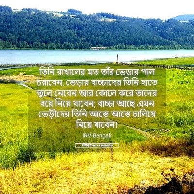 Picture 05 - যিচয়া 40:11 BENIRV - তিনি রাখালের মত - Bible Verse Picture