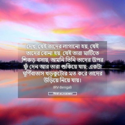 Picture 05 - যিচয়া 40:24 BENIRV - দেখ, যেই তাদের - Bible Verse Picture