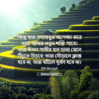 Picture 05 - যিচয়া 40:31 BENIRV - কিন্তু যারা - Bible Verse Picture