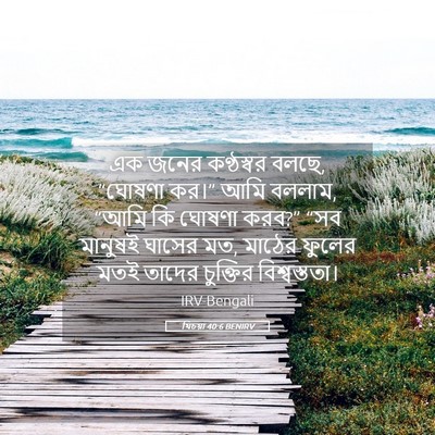 Picture 05 - যিচয়া 40:6 BENIRV - এক জনের কণ্ঠস্বর - Bible Verse Picture