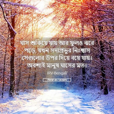 Picture 05 - যিচয়া 40:7 BENIRV - ঘাস শুকিয়ে যায় - Bible Verse Picture