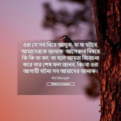 Picture 05 - যিচয়া 41:22 BENIRV - ওরা সে সব নিয়ে - Bible Verse Picture