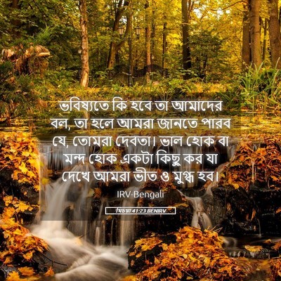 Picture 05 - যিচয়া 41:23 BENIRV - ভবিষ্যতে কি হবে তা - Bible Verse Picture
