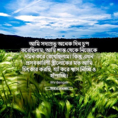 Picture 05 - যিচয়া 42:14 BENIRV - আমি সদাপ্রভু অনেক - Bible Verse Picture