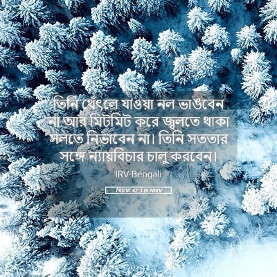 Picture 05 - যিচয়া 42:3 BENIRV - তিনি থেঁৎলে - Bible Verse Picture