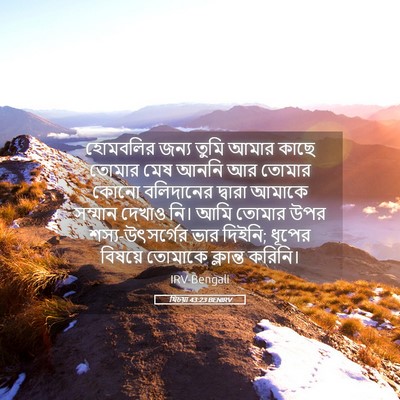 Picture 05 - যিচয়া 43:23 BENIRV - হোমবলির জন্য তুমি - Bible Verse Picture
