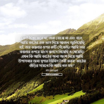 Picture 05 - যিচয়া 44:19 BENIRV - কেউ চিন্তা করে না; - Bible Verse Picture