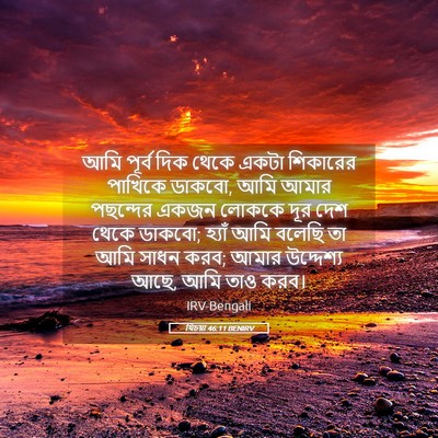Picture 05 - যিচয়া 46:11 BENIRV - আমি পূর্ব দিক থেকে - Bible Verse Picture