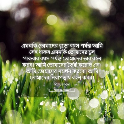 Picture 05 - যিচয়া 46:4 BENIRV - এমনকি তোমাদের - Bible Verse Picture