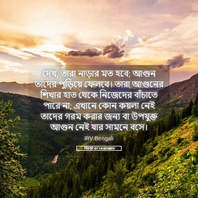 Picture 05 - যিচয়া 47:14 BENIRV - দেখ, তারা নাড়ার মত - Bible Verse Picture