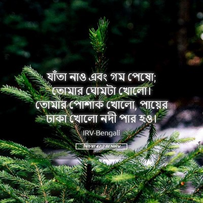 Picture 05 - যিচয়া 47:2 BENIRV - যাঁতা নাও এবং গম - Bible Verse Picture