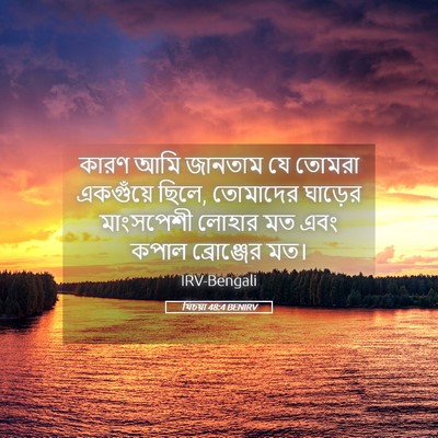 Picture 05 - যিচয়া 48:4 BENIRV - কারণ আমি জানতাম যে - Bible Verse Picture