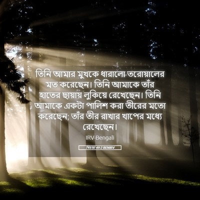 Picture 05 - যিচয়া 49:2 BENIRV - তিনি আমার মুখকে - Bible Verse Picture