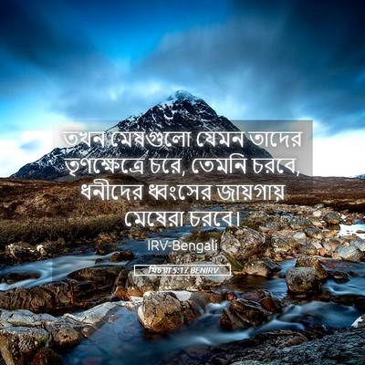 Picture 05 - যিচয়া 5:17 BENIRV - তখন মেষগুলো যেমন - Bible Verse Picture