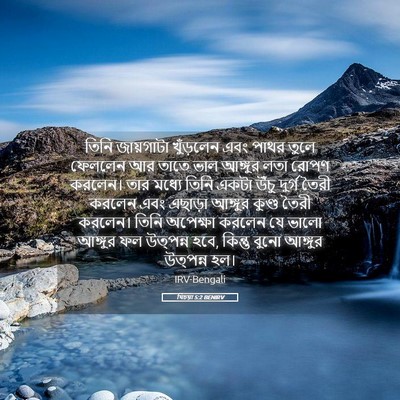 Picture 05 - যিচয়া 5:2 BENIRV - তিনি জায়গাটা - Bible Verse Picture