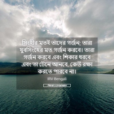 Picture 05 - যিচয়া 5:29 BENIRV - সিংহীর মতই তাদের - Bible Verse Picture
