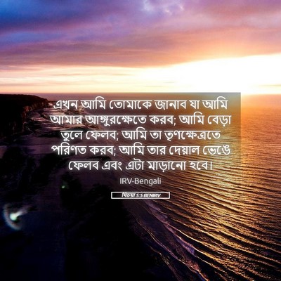 Picture 05 - যিচয়া 5:5 BENIRV - এখন আমি তোমাকে - Bible Verse Picture