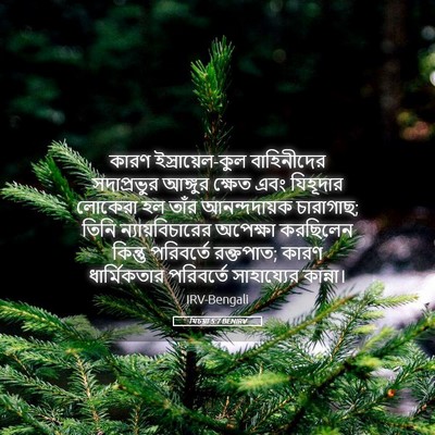 Picture 05 - যিচয়া 5:7 BENIRV - কারণ - Bible Verse Picture