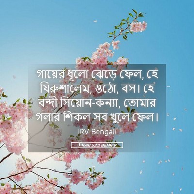 Picture 05 - যিচয়া 52:2 BENIRV - গায়ের ধূলো ঝেড়ে - Bible Verse Picture