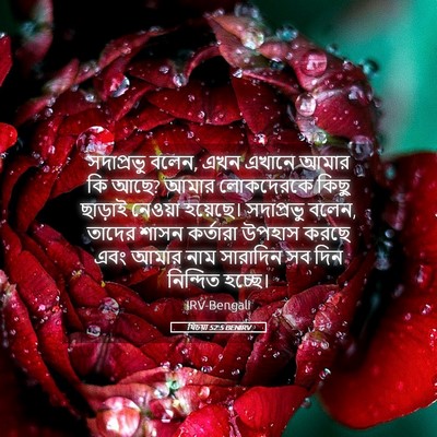 Picture 05 - যিচয়া 52:5 BENIRV - সদাপ্রভু বলেন, এখন - Bible Verse Picture