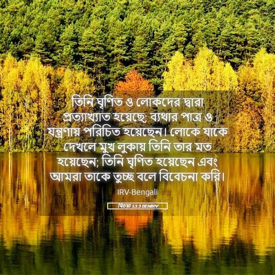 Picture 05 - যিচয়া 53:3 BENIRV - তিনি ঘৃণিত ও - Bible Verse Picture