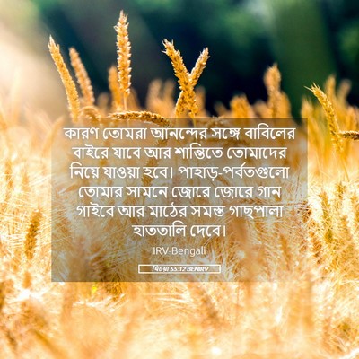 Picture 05 - যিচয়া 55:12 BENIRV - কারণ তোমরা - Bible Verse Picture