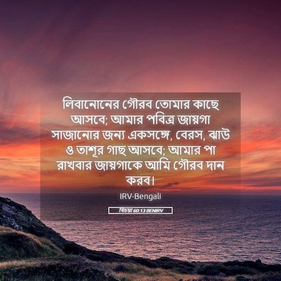 Picture 05 - যিচয়া 60:13 BENIRV - লিবানোনের গৌরব - Bible Verse Picture